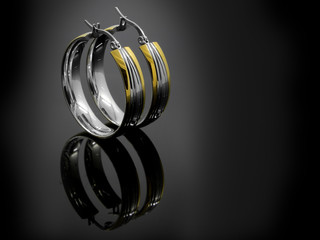 Earrings - Silver and Gold Stainless Steel