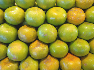 Pile of green tangerines. This type of Asian tangerine has green and orange skin. The taste is very sweet and little sour. It often used to make orange (tangerine) juice to refresh in hot countries.