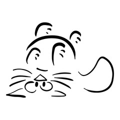 Cat lying on his back and raises four paws up