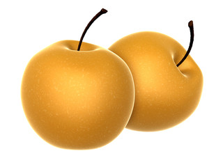 Two Fresh Beige color Asian Pear. Foods and Dishes Series.