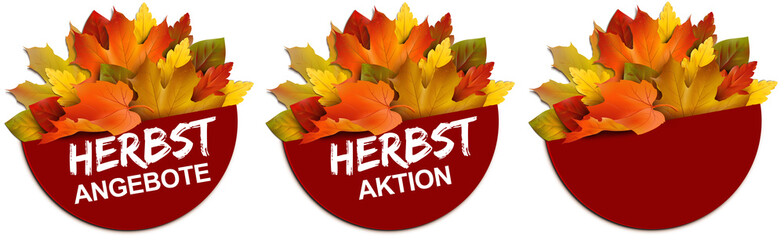 Button Set mit Herbstlaub - Herbstangebote/Herbstaktion
