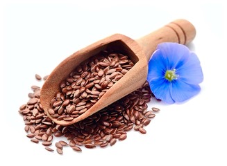 Flax seed and flax flowers .