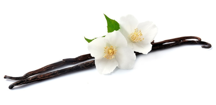 Vanilla with white flowers.