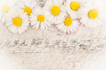 Fototapeta na wymiar Chamomile flowers on wooden background. top view with copy space.