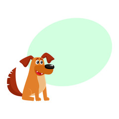 Cute brown funny house dog, puppy character sitting with friendly expression, cartoon vector illustration isolated on white background with speech bubble