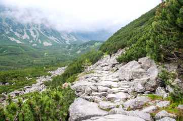 Górska ścieżka z głazów. © sly10000