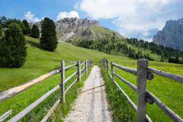 Fototapeta na wymiar Sentiero di montagna con staccionata di legno