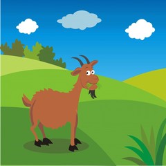 A goat is eating grass in the field. vector illustration.jpg