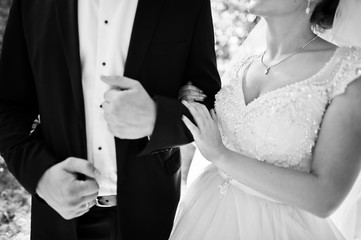 Absolutely stunning young wedding couple walking and posing in the forest. Black and white photo.