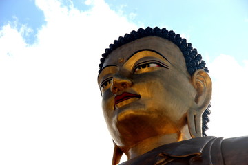 Buddha 