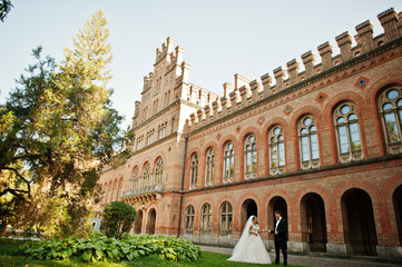 Obraz premium Stunning wedding couple enjoying each other's company on a beautiful architectural background.
