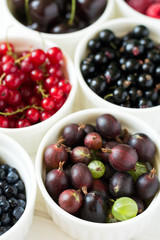  Bowls with fresh ripe gooseberry, red currant, black currant, raspberry, blueberry and cherry on white wooden table