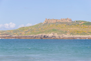 Fototapeta na wymiar Pessegueiro island in Porto Covo