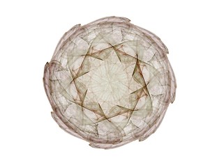 Particles of abstract fractal forms on the subject of nuclear physics science and graphic design. Geometry sacred futuristic