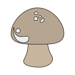 fresh healthy vegetable icon