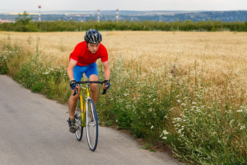 A cyclist rides on a road bicycle along the field.