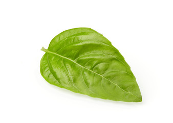 Green basil