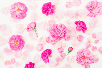 Pattern of pink rose flowers and pink petals on white background. Flat lay, top view.