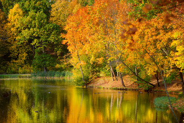 Idyllic autumn scenery in Vilnius