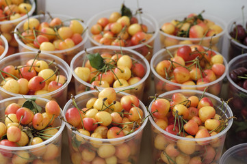 fresh organic cherries