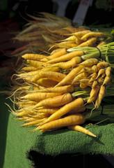 fresh carrots