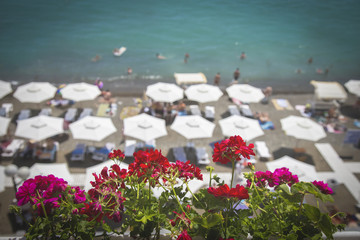 Flowers against the background of beach umbrellas, the sea and sky. In the background, beach umbrellas are not focused. Selected focus.