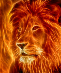 Obraz premium laser lwa w ogniu