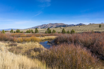 Stream in Sawtooth Mountains Grassland