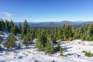 View of Umpqua Forest from Crater Lake