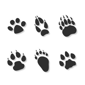 Set print of paws of predators.
