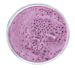 Healthy blackberries yogurt with fresh berries isolated on white background. Top view.