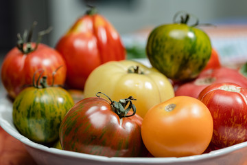 Historische Tomaten in weisser Schale