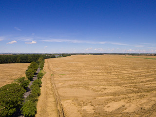 Obraz premium Aerial view of a road between corn fields with blue sky