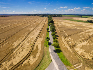 Fototapeta na wymiar Aerial view of a road between corn fields