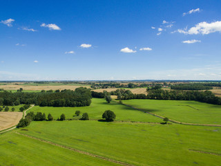 Fototapeta na wymiar Aerial view with green meadow and forest