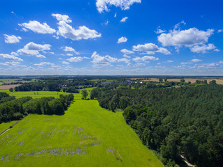 Aerial view with green meadow and forest
