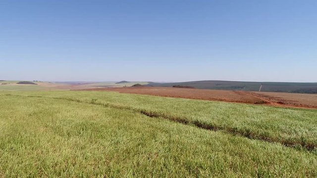 Flying Over Sugar Cane Field in Brazil
