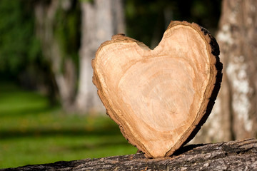 heart shaped from wood - love in the beautiful outdoors