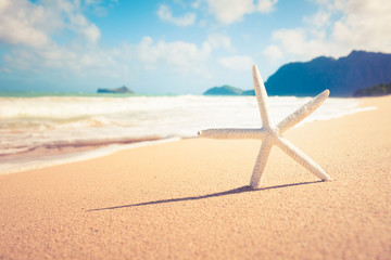 Fototapeta na wymiar Summer seaside holiday concept. Starfish on a sandy beach. 