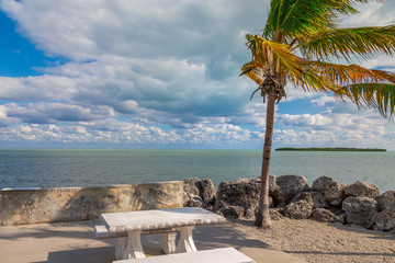 Ocean View With Palm Trees and Rocks and Beautiful Clouds