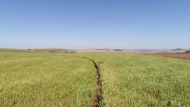 Flying Over Sugar Cane Field in Brazil