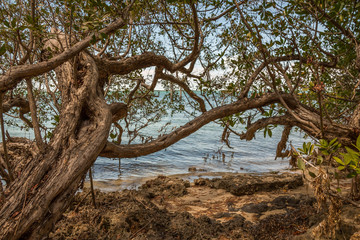 Seashore View in the Keys.  Exposure done in this beautiful island of the Keys, USA..