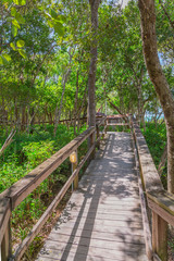 Fototapeta premium Seashore View in the Keys. Exposure done in this beautiful island of the Keys, USA..