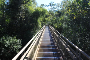 Fototapeta premium Nature in South America