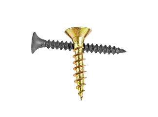 Close-up of two screws isolated on a white background