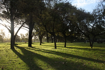 Nature in South America