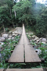 Nature in South America