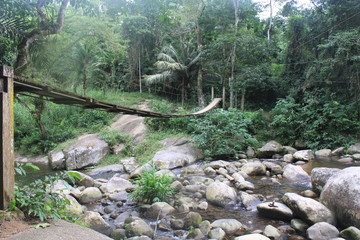 Nature in South America