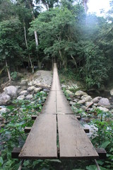 Nature in South America