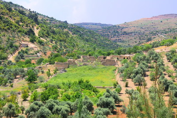 Obraz premium The Ajlun mountains are famous for their lush vegetation and thick green forests and a good place for hikes. Its highest mountain peaks reach around 1268 meters above sea level and Ajloun mountains re